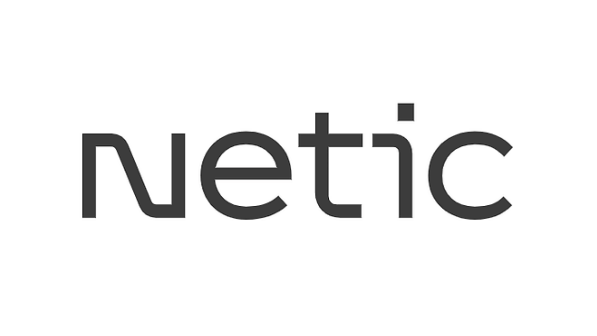 Netic logo